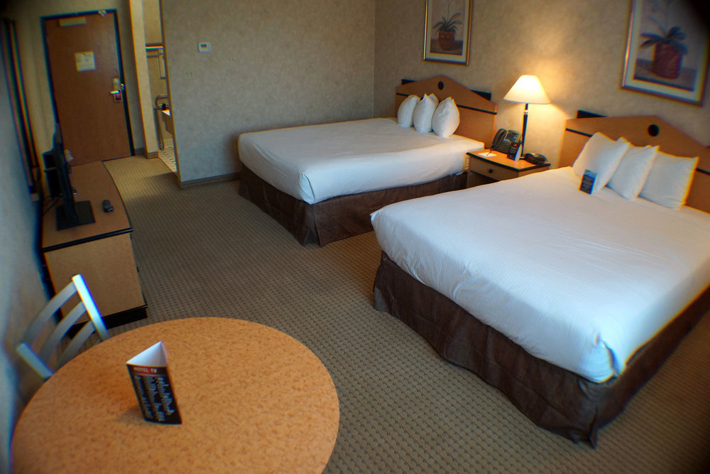 Hollywood Casino Joliet Hotel מראה חיצוני תמונה